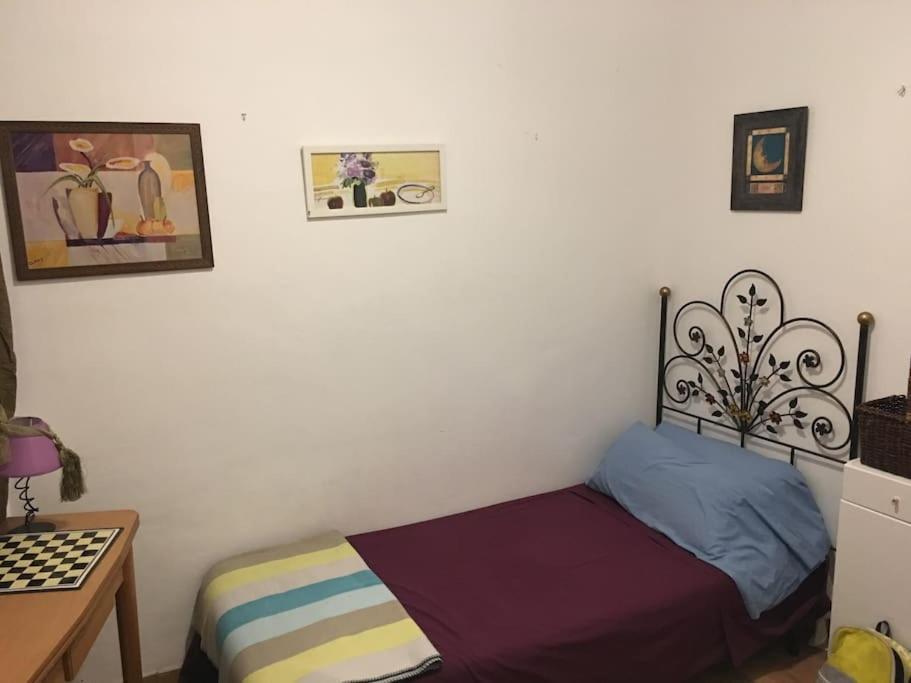 The Oasis One Spacious Apartment In Sevilla Exterior photo